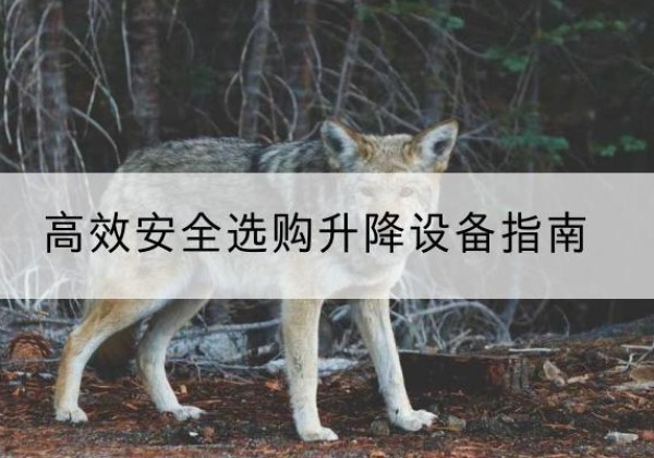 娄底升降货梯厂家推荐-*安全选购升降设备指南