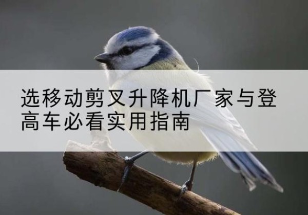 娄底电动升降机厂家-选移动剪叉升降机厂家与登高车必看实用指南